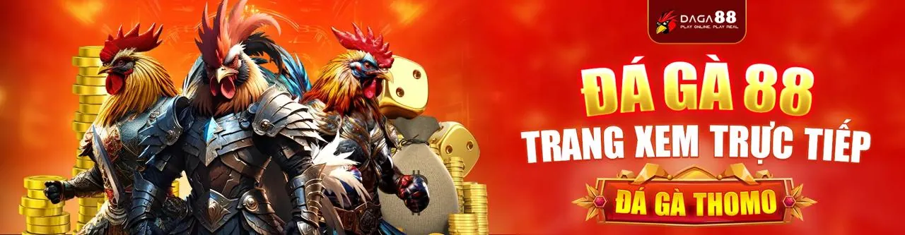 Quy tắc trò chơi và đặt cược công bằng tại nn888 code